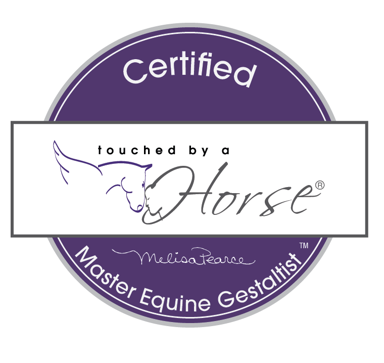 Certified Equine Gestaltist