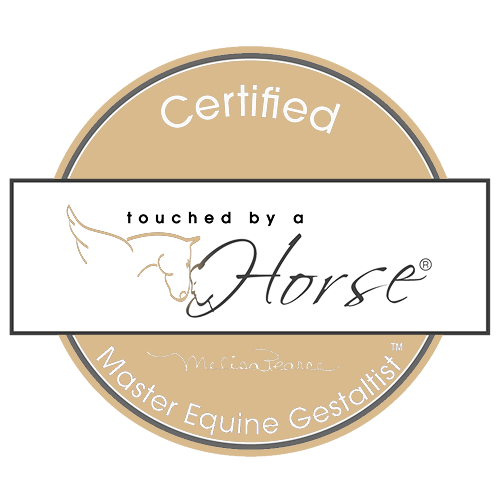 Certified Equine Gestaltist